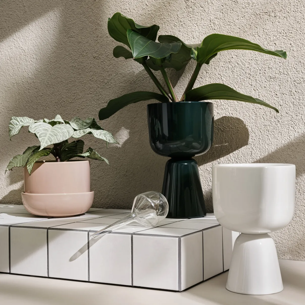 IITTALA Kukkaruukut-kastelupullo 2set