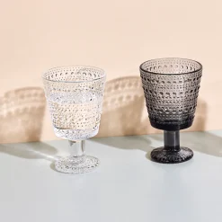IITTALA Aktiivinen Juomalasit|Viinilasit-Jalkalasi 26cl 2kpl Kirkas