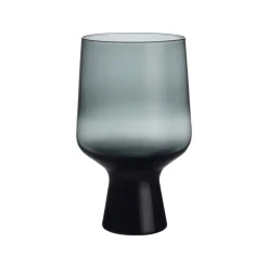 IITTALA Aktiivinen Juomalasit-Jalkalasi 40cl metallin 2 kpl Harmaa