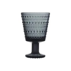 IITTALA Aktiivinen Juomalasit-Jalkalasi 26cl 2 kpl Tummanharmaa
