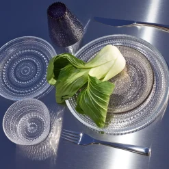IITTALA Aktiivinen Juomalasit-Juomalasi 30 cl 2 kpl Kanerva
