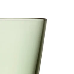 IITTALA Aktiivinen Juomalasit-Juomalasi 21cl havunvihreä 2kpl Havunvihreä