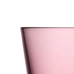 IITTALA Aktiivinen Juomalasit-Juomalasi 21cl 2kpl Kanerva