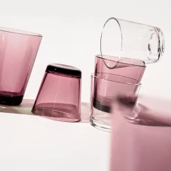 IITTALA Aktiivinen Juomalasit-Juomalasi 21cl 2kpl Kanerva