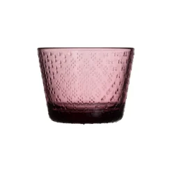 IITTALA Aktiivinen Juomalasit-Juomalasi 16cl 2kpl Kanerva