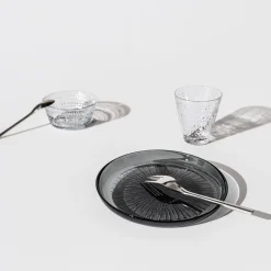 IITTALA Aktiivinen Juomalasit-Juomalasi 30cl 4kpl Kirkas