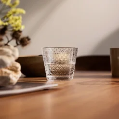 IITTALA Aktiivinen Juomalasit-Juomalasi 29cl kirkas 2kpl