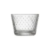 IITTALA Aktiivinen Juomalasit-Juomalasi 16cl kirkas 2kpl
