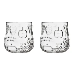 IITTALA Aktiivinen Juomalasit-Juomalasi 25cl 2kpl Kirkas