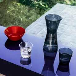 IITTALA Aktiivinen Juomalasit-Juomalasi 21cl 2kpl Tummanharmaa