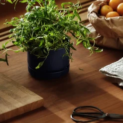 IITTALA Kukkaruukut-Kukkaruukku SN 11cm matta sininen