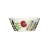 IITTALA Kulhot-Kulho 0,3L Sato