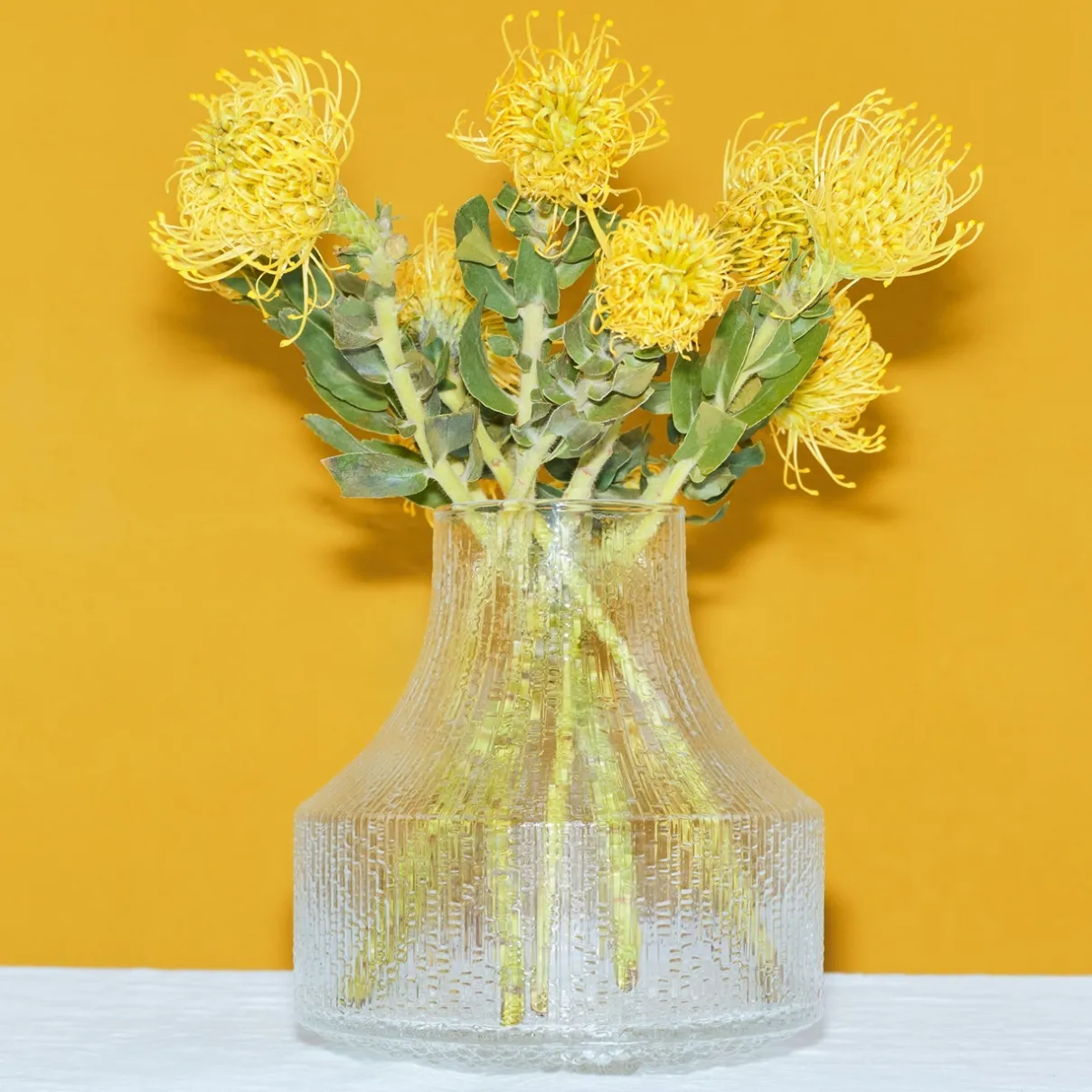 IITTALA Maljakot-Lasimaljakko 180x192mm Kirkas