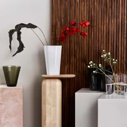 IITTALA Alvar Aalto -Kokoelma|Maljakot-Maljakko 220mm Valkoinen