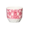 IITTALA Mukit Ja Kupit-Munakuppi 4cl 2-pack