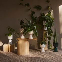 IITTALA Kukkaruukut-Ruukku jalallinen S korkea Beige