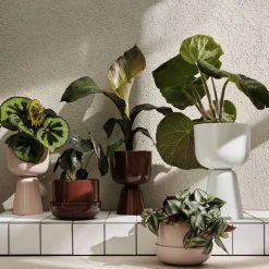 IITTALA Kukkaruukut-Ruukku jalallinen S korkea Beige
