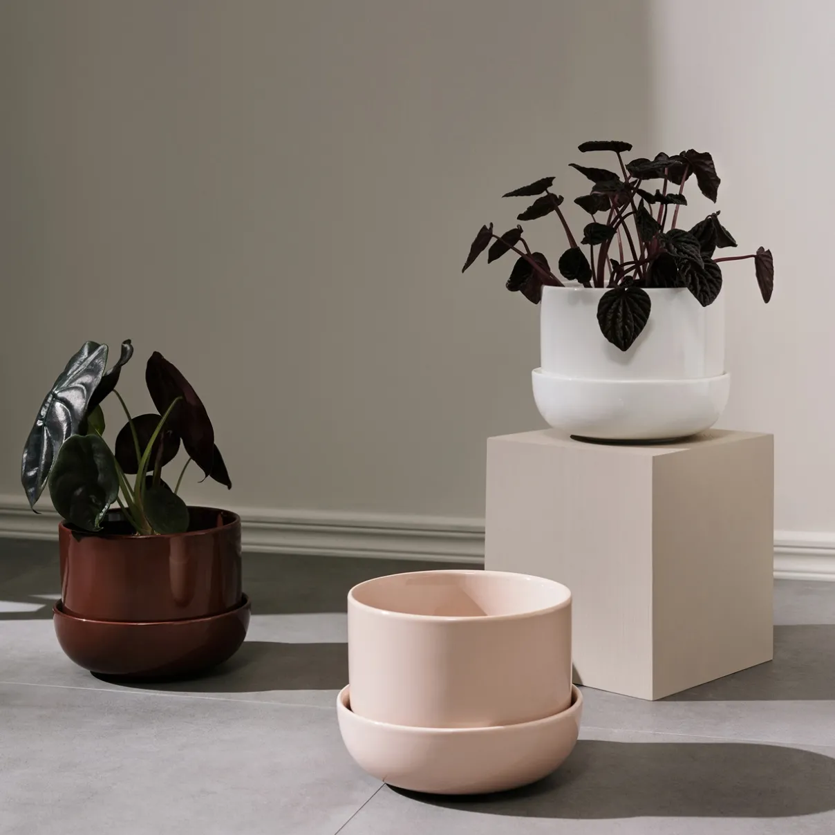 IITTALA Kukkaruukut-Ruukku ja vati S Beige