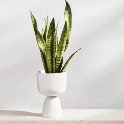 IITTALA Kukkaruukut-Ruukku jalallinen S Valkoinen
