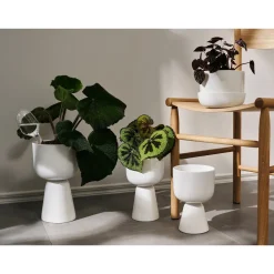 IITTALA Kukkaruukut-Ruukku jalallinen S Valkoinen
