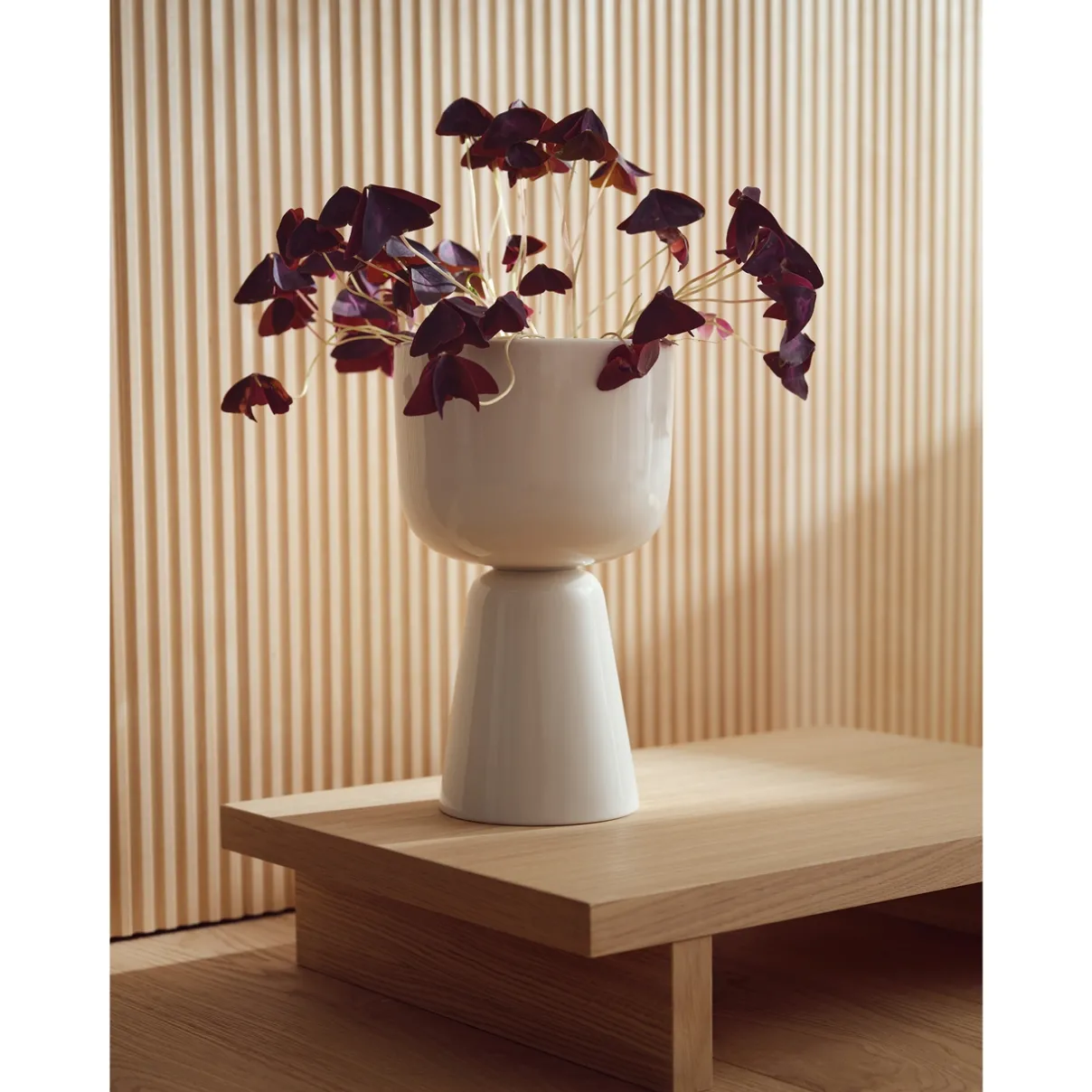 IITTALA Kukkaruukut-Ruukku jalallinen S korkea Valkoinen