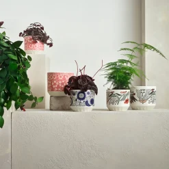 IITTALA Kukkaruukut-Ruukku 100x120mm